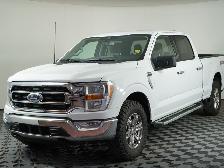 2023 Ford F-150 XLT ,Low Km's