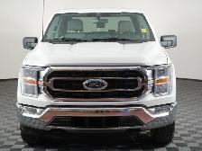2023 Ford F-150 XLT ,Low Km's - Photo 3