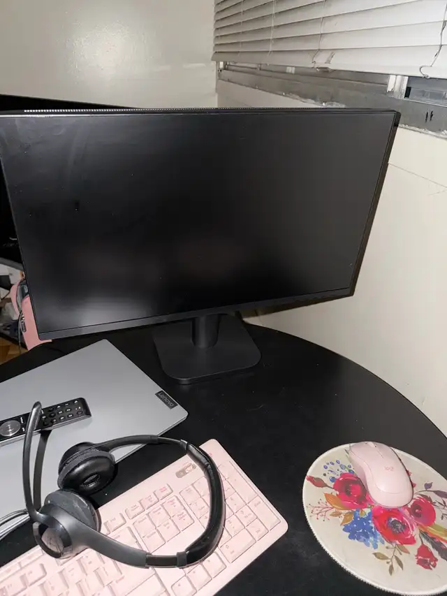 computer monitor