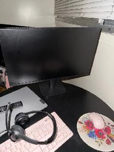 computer monitor