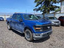 2025 Ford F-150 - Photo 3