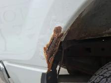 2011 Ford F-150 w/Heavy Duty Payload Package - Photo 25