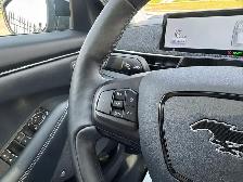 2021 Ford Mustang Mach-E Premium - Photo 11