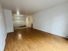 Appartement 4 ½ à louer Lévis juillet 2026 - Photo 3