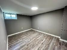 SPACIOUS 1 Bedroom Lower unit in Downtown Thorold! - Photo 8