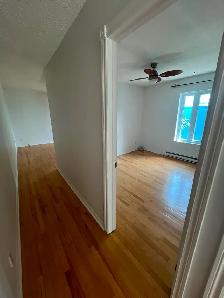 3 1/2 à louer Hull Gatineau - 1 Bedroom in Gatineau Hull - Photo 8
