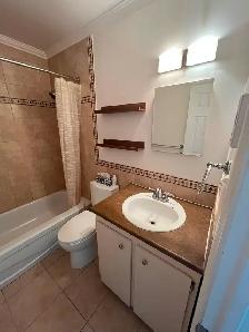 3 1/2 à louer Hull Gatineau - 1 Bedroom in Gatineau Hull - Photo 9