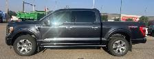 2022 Ford F-150 Platinum SuperCrew - Photo 2
