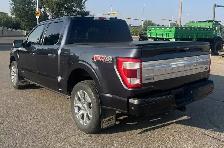 2022 Ford F-150 Platinum SuperCrew - Photo 3