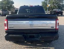 2022 Ford F-150 Platinum SuperCrew - Photo 4