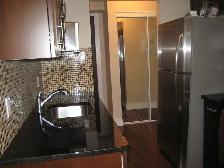 Remolded I Bedroom Condo for Rent at 108 Chandos Avenue - Photo 5