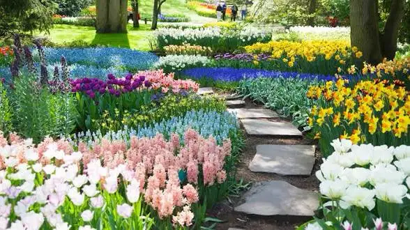 Gardener Wanted