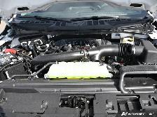 2026 Ford F-150 XL - Photo 9