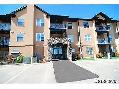 Two bedroom apartment - Lakewood - available for September