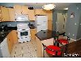 Two bedroom apartment - Lakewood - available for September - Photo 4