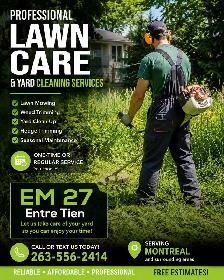 lawn cleaning