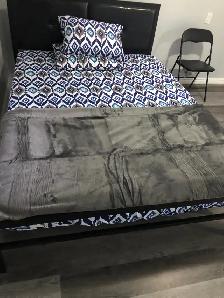 Beautiful and Furnished Basement Room in Scarborough for Rent - Photo 4
