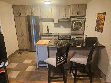 Fully Furnished One Bedroom For Rent - Photo 3