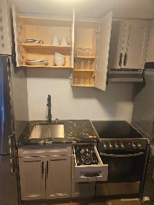 Fully Furnished One Bedroom For Rent - Photo 4