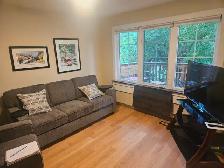 Fully Furnished One Bedroom For Rent - Photo 9