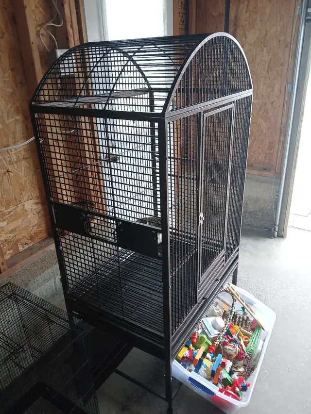 Bird Cage   Accessories