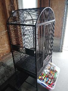 Bird Cage   Accessories