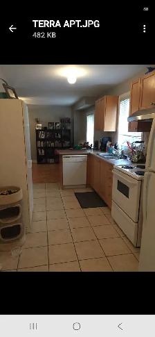 Apartment for Rent in Woodbridge - Photo 3