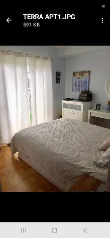Apartment for Rent in Woodbridge - Photo 4