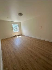 558 glen allan drive - Photo 3