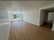 558 glen allan drive - Photo 4