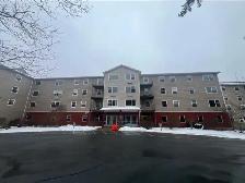 558 glen allan drive - Photo 5