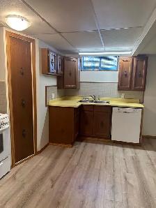 Near Leduc-Airport-Basement Suite - Photo 10