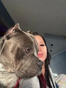 DOG SITTING / DOG WALKER available - Photo 5
