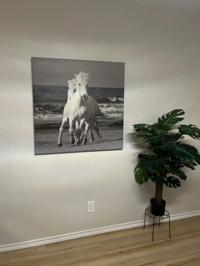 Equestrian canvas style picture