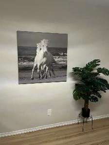 Equestrian canvas style picture