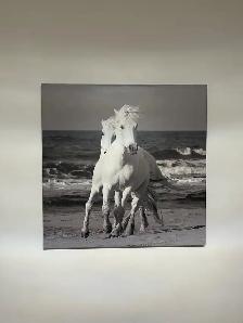 Equestrian canvas style picture - Photo 2