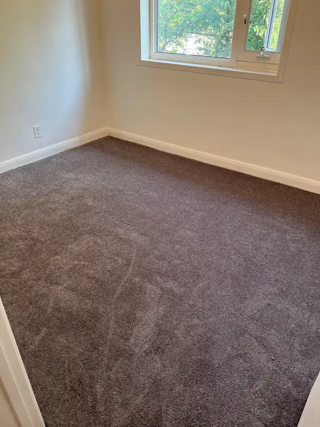 BEST RATES ON CARPET INSTALLATION & REPAIRS
