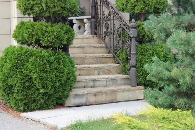 Mint Natural Stone Coping- $14.40/sqft