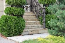 Mint Natural Stone Coping- $14.40/sqft