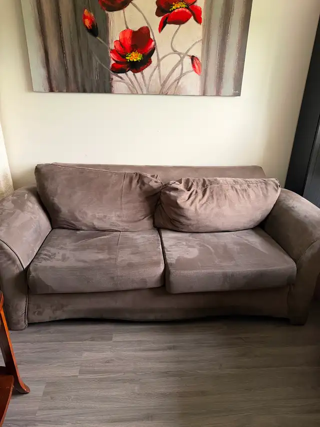 Sofas with center table