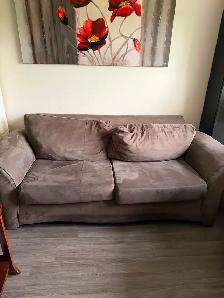 Sofas with center table
