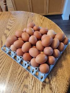 Farm Fresh Eggs