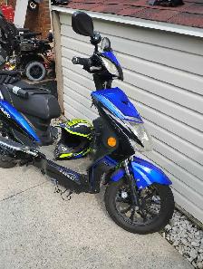Reduced price Aug.28th EMMO Hornet Sport . Or Trade - Photo 9