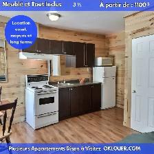 3 1/2 MEUBLÉ – SAINT-ROCH – TOUT INCLUS