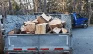 Junk Removal - Photo 4