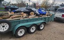 Junk Removal - Photo 5