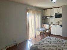 1 mo. Free! Yonge/Finch Stn. Walk/5 min bus. Studio with patio - Photo 2