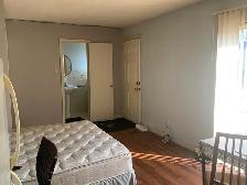 1 mo. Free! Yonge/Finch Stn. Walk/5 min bus. Studio with patio - Photo 3