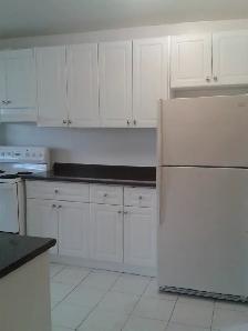 2 1 bedroom apartment for Rent