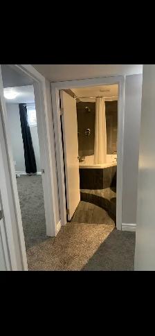2 Bedroom Suite Available - Photo 8